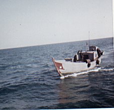turro120.jpg